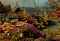 ELD.gg New World’s Archetypes: Flexibility and Freedom in Chara