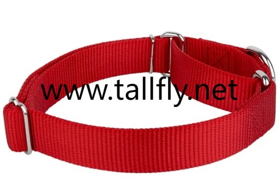 Tangle-Free Love: How the Pet Knot Untying Comb Transforms Long